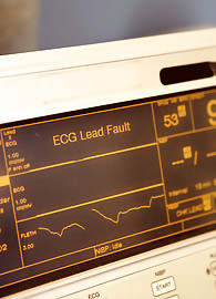 Shawna Lenee Photo 1