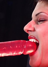 Lara-Twistys Photo 8