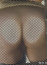 Sheena Ryder Photo 2