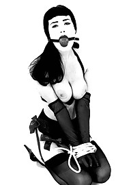 Dita Von Teese Photo 3
