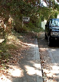 Ariella Ferrera Photo 1