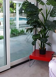 Nina Hartley Photo 5