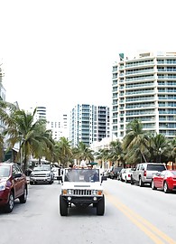 Capri Cavalli Photo 6