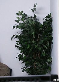 Kelly Divine Photo 7