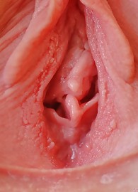 Alison Angel Photo 9