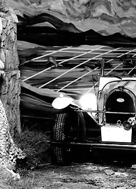 Veronica Zemanova Photo 1