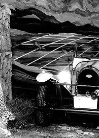 Veronica Zemanova Photo 2