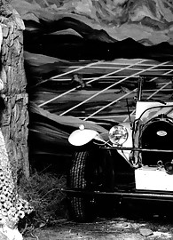 Veronica Zemanova Photo 3