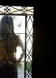 Audrianna Angel Photo 5