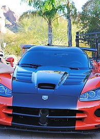 Haley Cummings Photo 12