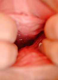 Tristan Kingsley Photo 14