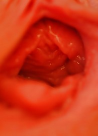 Monica Sweetheart Photo 14