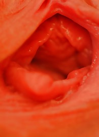 Monica Sweetheart Photo 15