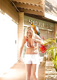 Alison Angel Photo 9