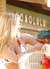 Alison Angel Photo 12