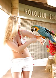 Alison Angel Photo 13