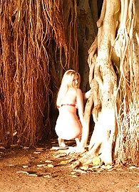 Alison Angel Photo 8