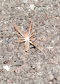 Alison Angel Photo 15