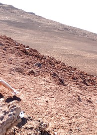 Alison Angel Photo 7