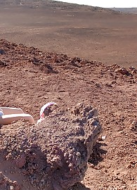 Alison Angel Photo 14