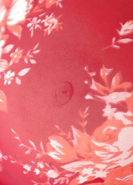 Alison Angel Photo 5