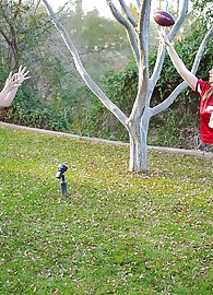 Alison Angel Photo 1