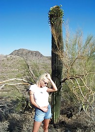 Kelly Erikson Photo 15