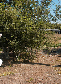 Kelly Madison Photo 7