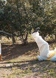 Kelly Madison Photo 8