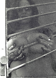 Kelly Madison Photo 1