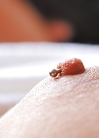 Marletta FTV Photo 4