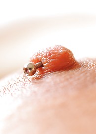 Marletta FTV Photo 6