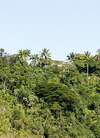 Alessandra Dias Photo 1