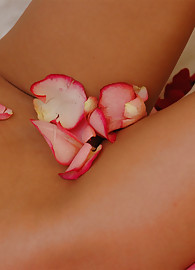 Kates Playground Photo 12