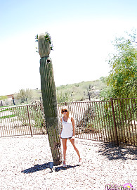 Diddylicious Photo 1