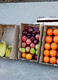 Nikki Fairchild Photo 1