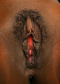 Aryana Starr Photo 10