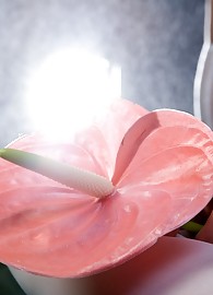 Augusta Crystal Photo 15