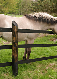 Katya Nubiles Photo 2