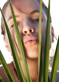 Belinda Nubiles Photo 7