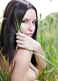 Nika E Photo 4