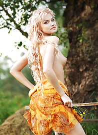 Elisha Cuthbert Photo 5