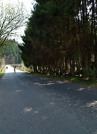 Lizzy Merova Photo 2