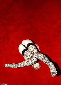 Kayden Kross Photo 14