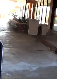 Phoenix Askani Photo 1