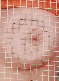 Sandra Shine Photo 2