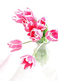 Kasey Chase Photo 13