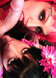 Regan Reese Photo 11