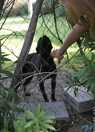 Lisa Nubiles Photo 13