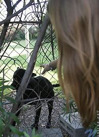 Lisa Nubiles Photo 14